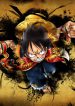 One Piece Invincible