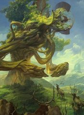 My Code Name is Ryokogyu