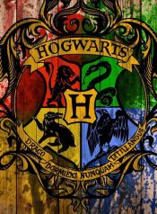 Stark in Harry Potter World