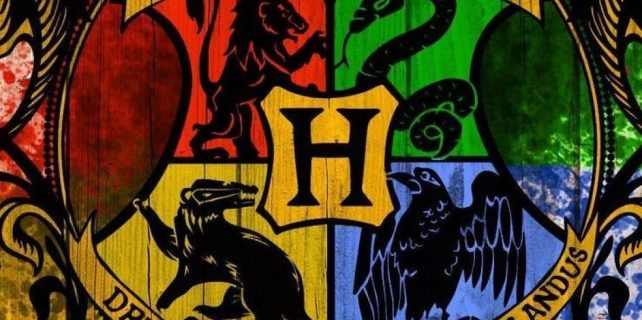 Stark in Harry Potter World