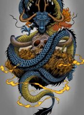 One Piece My strength depends on enemy imagination