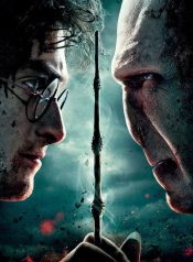 Ninja in Harry Potter