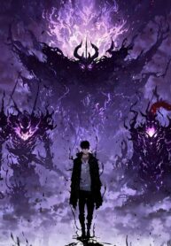 Solo Leveling: Monarch of Knowledge